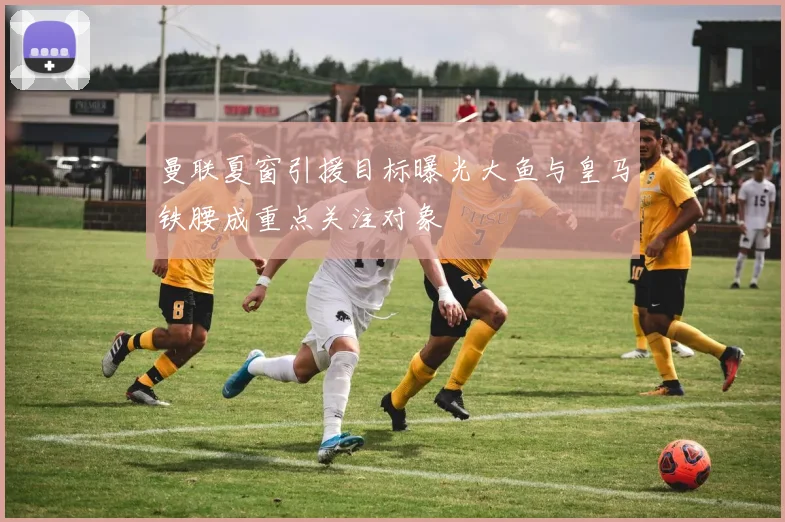 曼联夏窗引援目标曝光大鱼与皇马铁腰成重点关注对象