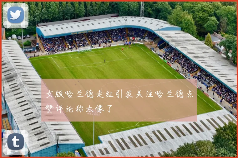 女版哈兰德走红引发关注哈兰德点赞评论称太像了